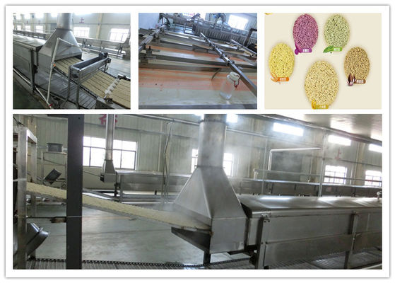 Κίνα Αυτόματο νουντλς υψηλής αποδοτικότητας που κατασκευάζει τη μηχανή τηγανισμένο στο προϊόντα στιγμιαίο νουντλς προμηθευτής