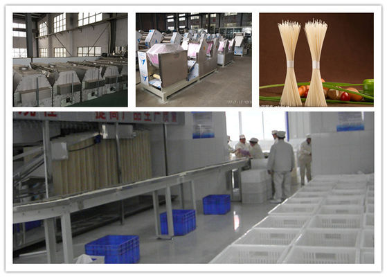 Κίνα Ο φυτικός κατασκευαστής νουντλς για το ξηρό ραβδί, φρέσκια γραμμή παραγωγής νουντλς κάνει τα ξεραίνοντας νουντλς προμηθευτής