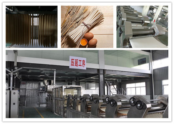 Κίνα CE ISO ζυμαρικών ξηρότερα νουντλς ραβδιών μηχανών ξηρά αυτόματα πλήρως που κατασκευάζουν τη μηχανή προμηθευτής