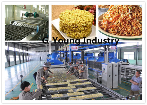 Κίνα Πετρέλαιο που τηγανίζει το αυτόματο νουντλς που κατασκευάζει τη μηχανή για την τηγανισμένη στιγμιαία κατασκευή νουντλς προμηθευτής